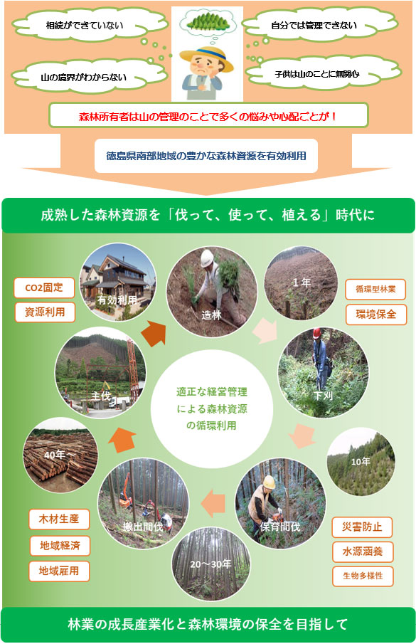 徳島県南部地域の豊かな森林資源を有効利用